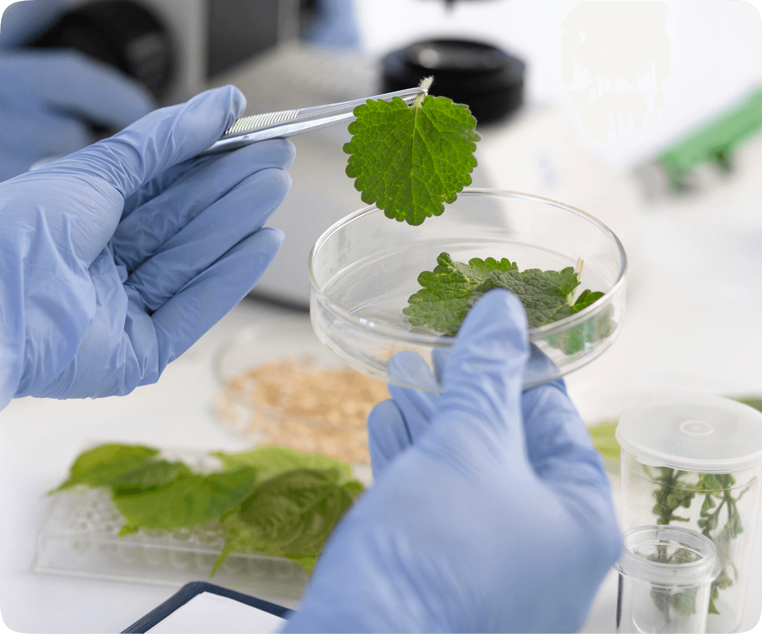 Laboratory work with pipette